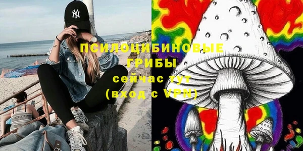 героин Алзамай