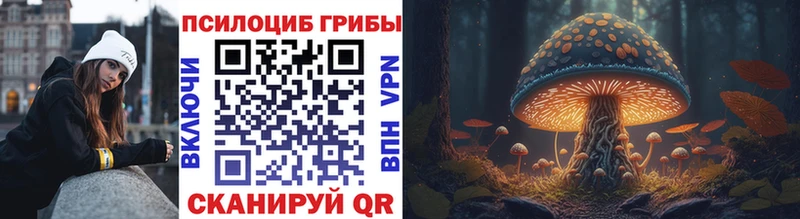 Псилоцибиновые грибы ЛСД  Балашов 