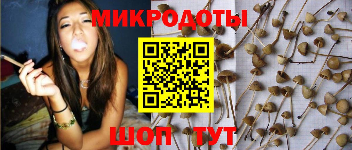 Псилоцибиновые грибы Cubensis  Вход с VPN  как найти закладки  Галлюциногенные грибы прущие грибы  Балашов 