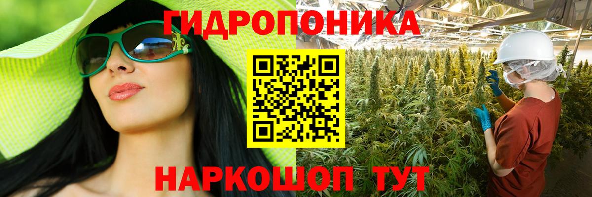 Балашов  Бошки марихуана White Widow  Вход с VPN  Каннабис планчик  Бошки марихуана план 